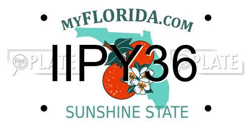 IIPY36 Florida License Plate