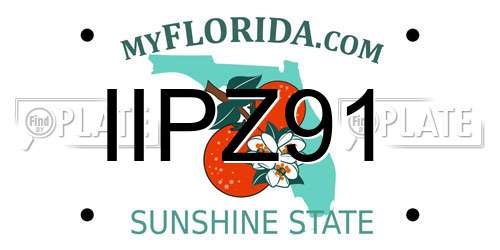 IIPZ91 Florida License Plate