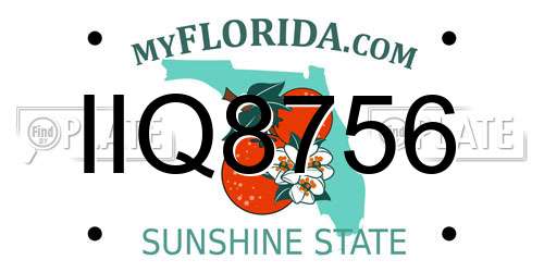 IIQ8756 Florida License Plate