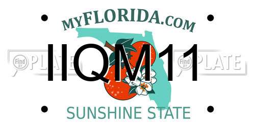 IIQM11 Florida License Plate