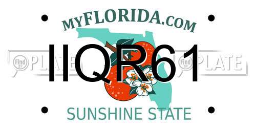 IIQR61 Florida License Plate