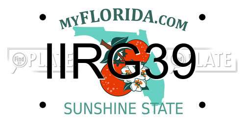 IIRG39 Florida License Plate