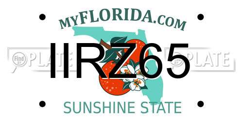 IIRZ65 Florida License Plate