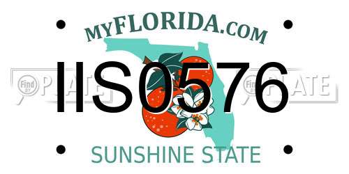 IIS0576 Florida License Plate