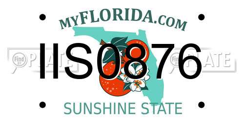 IIS0876 Florida License Plate