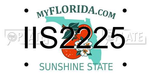 IIS2225 Florida License Plate