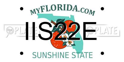 IIS22E Florida License Plate