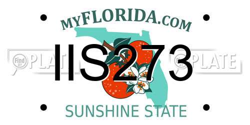 IIS273 Florida License Plate