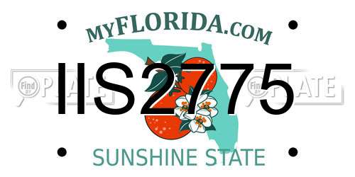 IIS2775 Florida License Plate