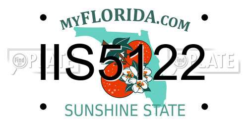 IIS5122 Florida License Plate