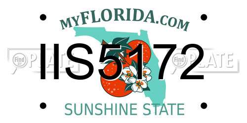 IIS5172 Florida License Plate