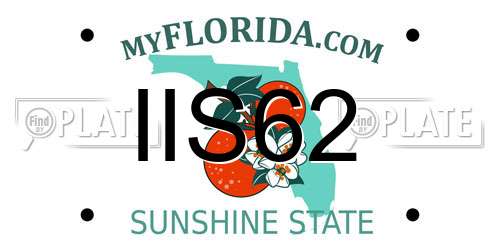 IIS62 Florida License Plate