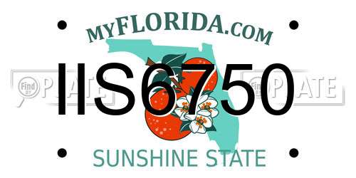 IIS6750 Florida License Plate