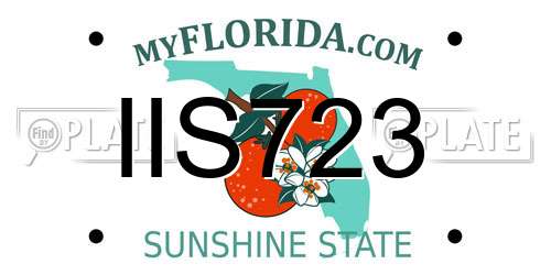 IIS723 Florida License Plate