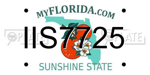 IIS7725 Florida License Plate