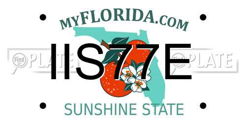 IIS77E Florida License Plate