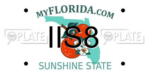 IIS8 Florida License Plate
