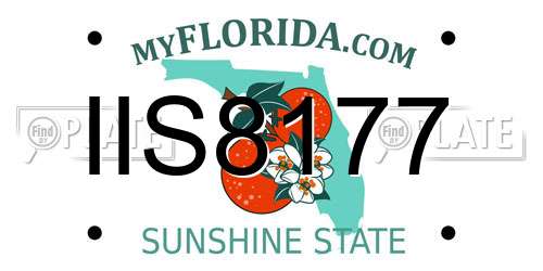 IIS8177 Florida License Plate