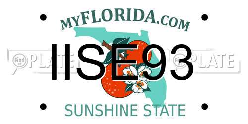 IISE93 Florida License Plate