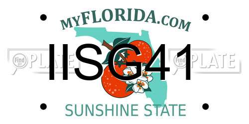 IISG41 Florida License Plate