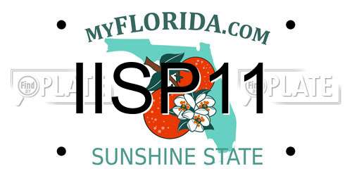 IISP11 Florida License Plate