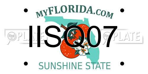 IISQ07 Florida License Plate