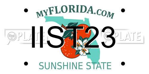 IIST23 Florida License Plate