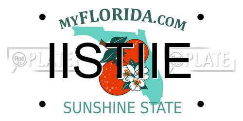 IISTIIE Florida License Plate