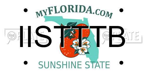 IISTTTB Florida License Plate