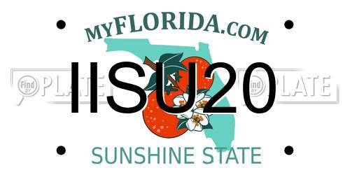 IISU20 Florida License Plate