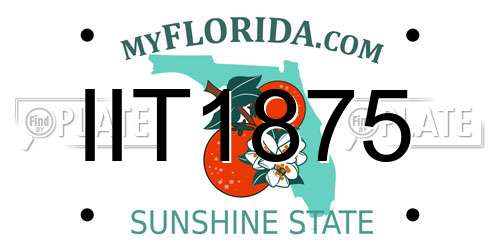 IIT1875 Florida License Plate
