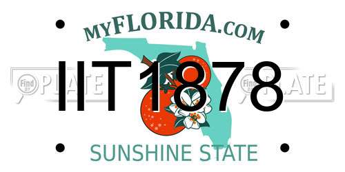 IIT1878 Florida License Plate