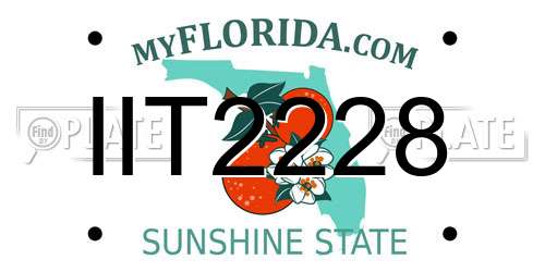 IIT2228 Florida License Plate