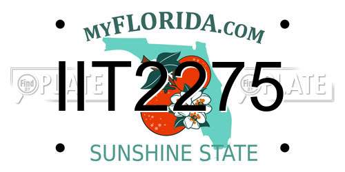 IIT2275 Florida License Plate