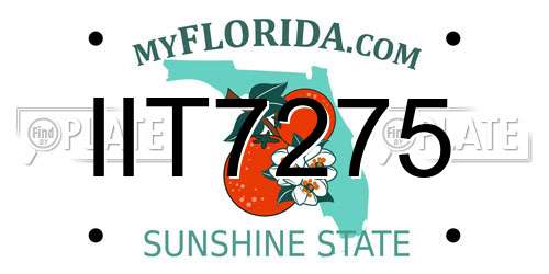 IIT7275 Florida License Plate