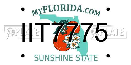IIT7775 Florida License Plate