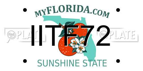 IITF72 Florida License Plate