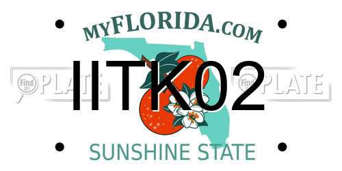 IITK02 Florida License Plate