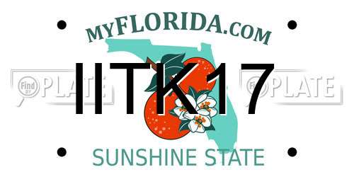 IITK17 Florida License Plate