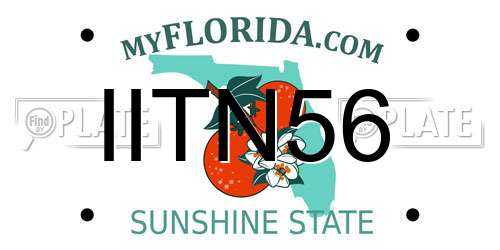 IITN56 Florida License Plate
