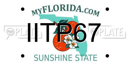 IITP67 Florida License Plate