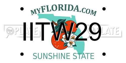 IITW29 Florida License Plate