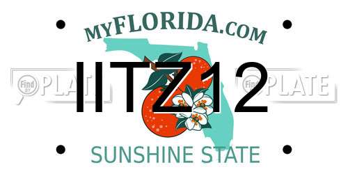 IITZ12 Florida License Plate
