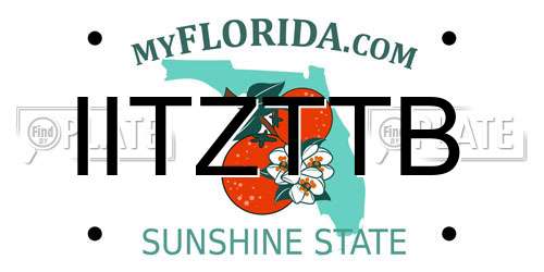 IITZTTB Florida License Plate