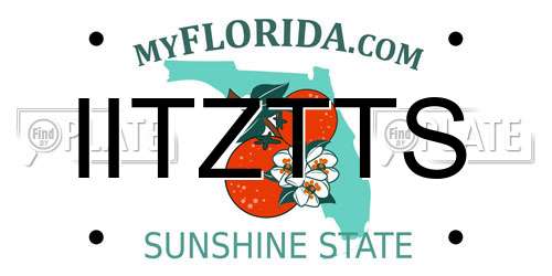 IITZTTS Florida License Plate