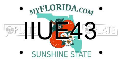 IIUE43 Florida License Plate