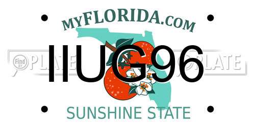 IIUG96 Florida License Plate
