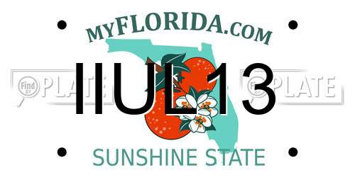 IIUL13 Florida License Plate
