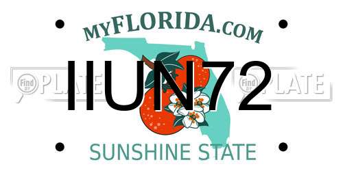 IIUN72 Florida License Plate