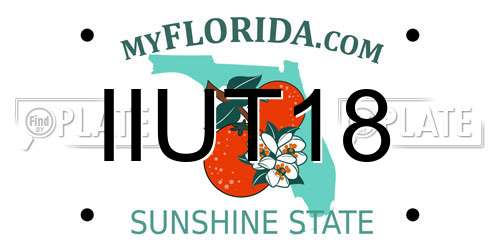 IIUT18 Florida License Plate